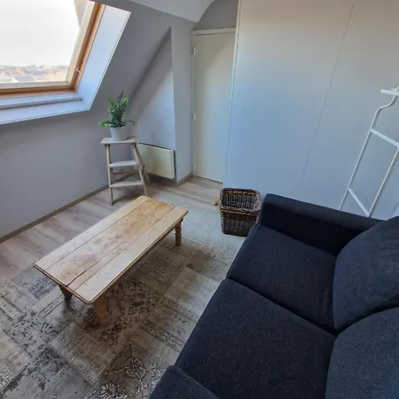 Appartement Very Large Duplex 4-bedroom Less Than 5 Minutes From The Sea! T46 Ostende